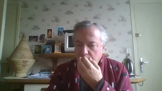 gegevincent online show from February 10, 1:05 pm