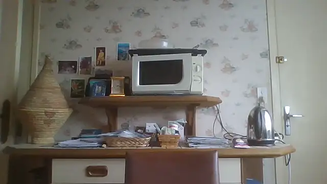 gegevincent online show from January 18, 2:08 pm