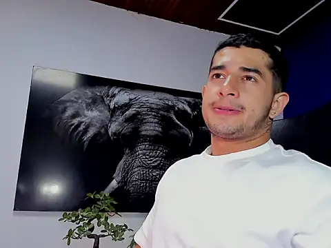 king falconer online show from January 16, 2:47 am