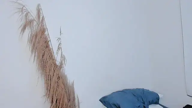 Evansdark1 online show from February 25, 11:50 pm