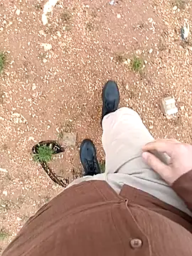 Yaman 33 online show from April 18, 12:50 pm