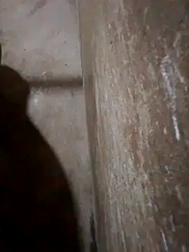 Lujor online show from March 26, 11:31 pm