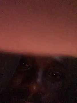 cuminsidebby online show from April 17, 4:15 am