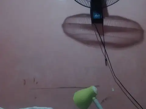 Kyoshi 19 online show from February 24, 9:54 am