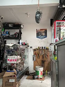 Terra-22cm online show from January 5, 5:27 pm