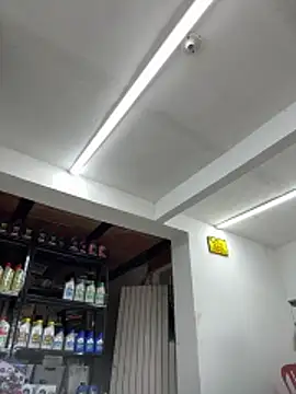 Terra-22cm online show from April 13, 1:45 pm