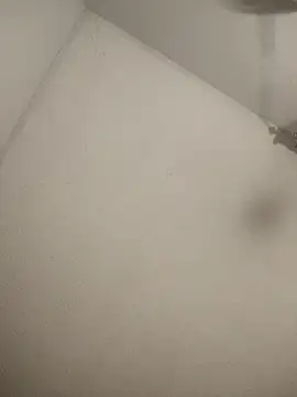 Blessdsoulja44 online show from March 7, 8:12 am