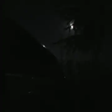 luis97fer online show from June 26, 4:26 am
