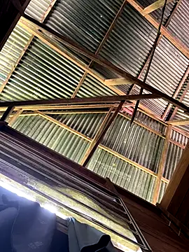 Alabestia12 online show from December 5, 3:08 pm