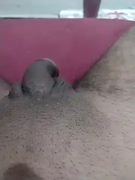 motoboytkbh online show from April 9, 8:04 pm