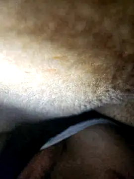 HitShelf online show from December 13, 11:00 pm