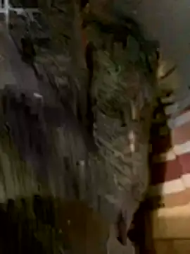 anhye8 online show from February 8, 3:38 pm