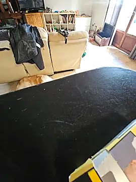 Stingles online show from March 15, 8:00 am