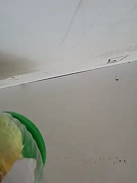 sweetdickboy2 online show from March 20, 12:20 pm