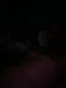 jordanbirdy online show from February 20, 12:51 am