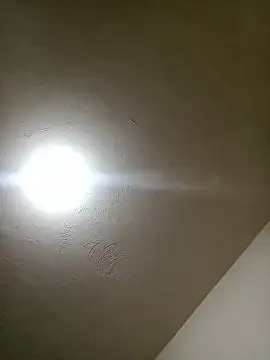 Snapshot of ElBufalo4l chatting on September 29, 3:38 am ElBufalo4l online show from September 29, 3:38 am