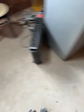 maialexte online show from February 4, 12:44 pm