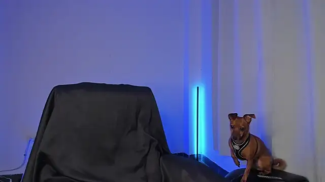 nathan blake online show from December 19, 7:33 pm