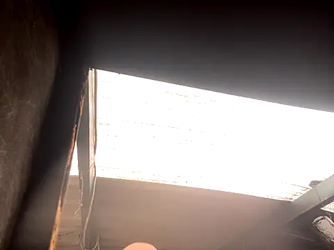 rider239 online show from October 2, 5:17 pm