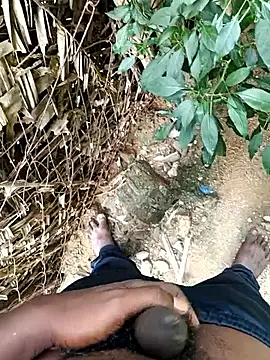 dolphiinn online show from December 18, 8:21 am