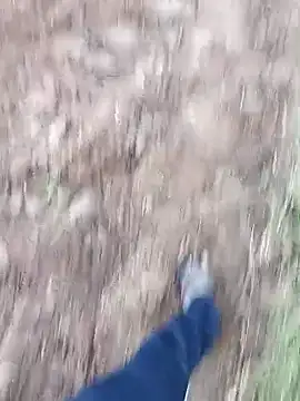 dolphiinn online show from February 14, 1:22 am