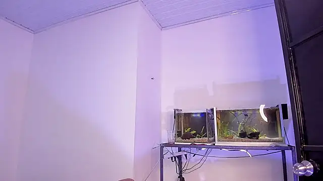 Cj davis  online show from November 4, 6:58 am