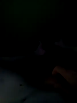 Snapshot of Rudie1 chatting on September 14, 6:54 pm Rudie1 online show from September 14, 6:54 pm