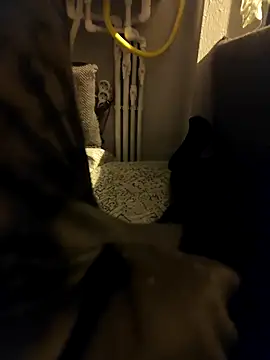 siadxh online show from February 6, 11:45 pm