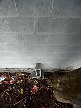 magraocam online show from January 15, 5:26 pm