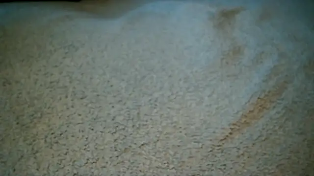 dick playy online show from September 26, 3:21 pm