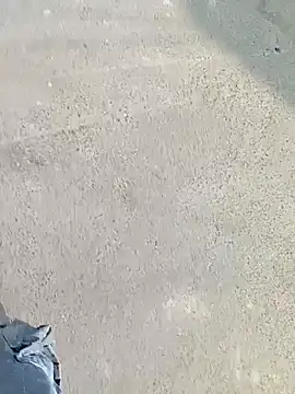 Bebicho14 online show from March 19, 1:47 pm