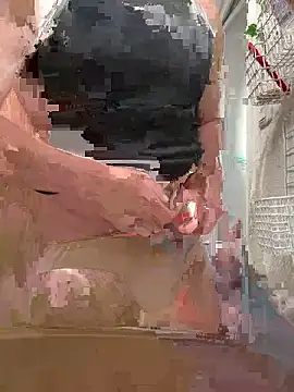 sukebegorilla online show from February 28, 3:05 am