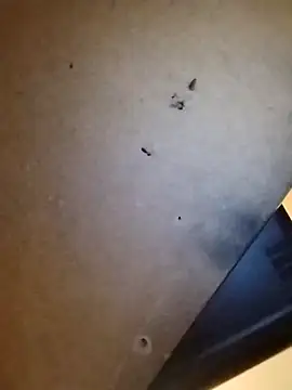 Xxxakt online show from September 23, 6:46 am