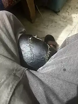 theindianjason online show from November 14, 2:04 am