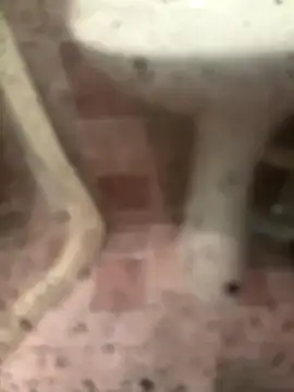 larry00hot10 online show from September 13, 8:48 am