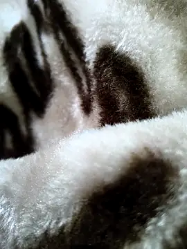 bold guy 1234 online show from December 17, 5:36 am