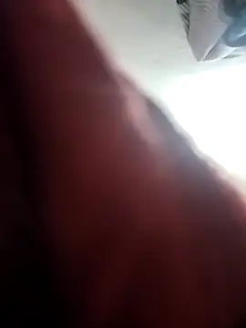  online show from November 18, 1:04 pm