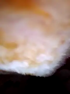 Snapshot of alone_boy802 chatting on October 10, 4:23 pm alone boy802 online show from October 10, 4:23 pm