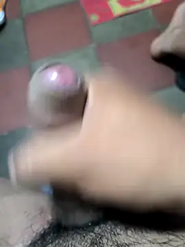 payolo online show from February 22, 1:40 am