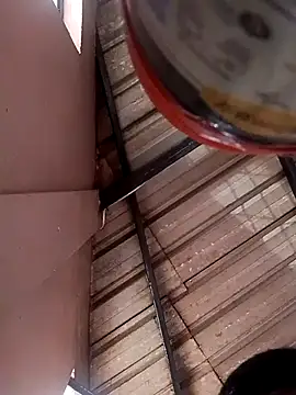 RAJV  online show from February 21, 2:40 pm