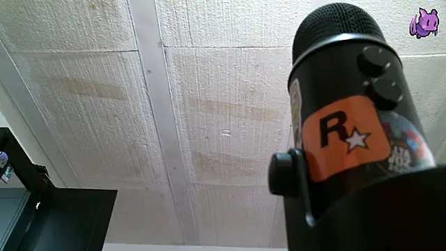 Dickie Dicking online show from February 18, 10:18 pm