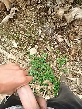 Sikici0734 online show from December 3, 10:54 am