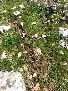 Sert erkek21 ysm online show from March 24, 11:26 am