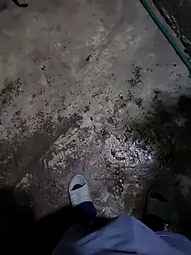 Senseimaster5 online show from November 26, 10:40 am