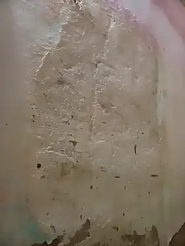 Snapshot of Jorgebenitez_1 chatting on October 27, 9:06 pm Jorgebenitez 1 online show from October 27, 9:06 pm