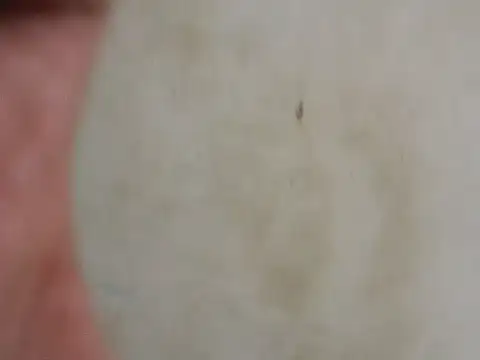 GordoChancludoSLP online show from December 1, 4:26 am