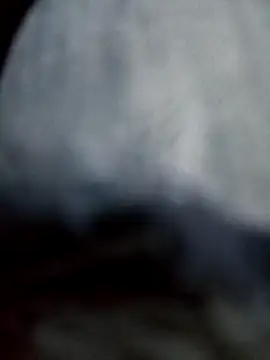 negro2828 online show from October 27, 11:07 pm