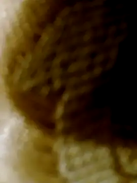 pino870 online show from January 6, 9:19 pm