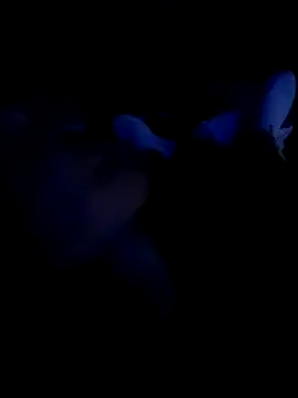 KARNEs24666 online show from November 7, 9:12 am