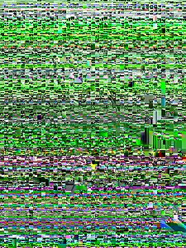 Kobhaktabhay online show from November 8, 4:59 am